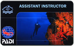 Assistant Instructor Card