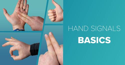 Basic Scuba Hand Signals