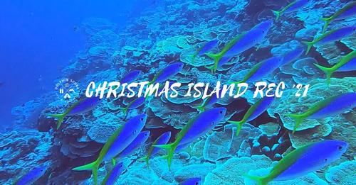 Diving + Exploring Christmas Island (Rec Trip 2021)