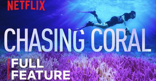 Chasing Coral | FULL FEATURE | Netflix